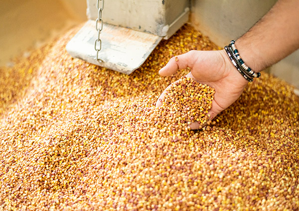 @all_right_reserved_ a P.Facendola